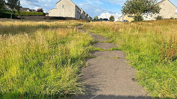 Patches of overgrown grass on either side of a path leading to houses in the distance.
