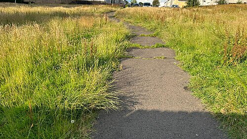 Patches of overgrown grass on either side of a path leading to houses in the distance.