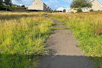 Patches of overgrown grass on either side of a path leading to houses in the distance.